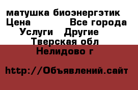 матушка-биоэнергэтик › Цена ­ 1 500 - Все города Услуги » Другие   . Тверская обл.,Нелидово г.